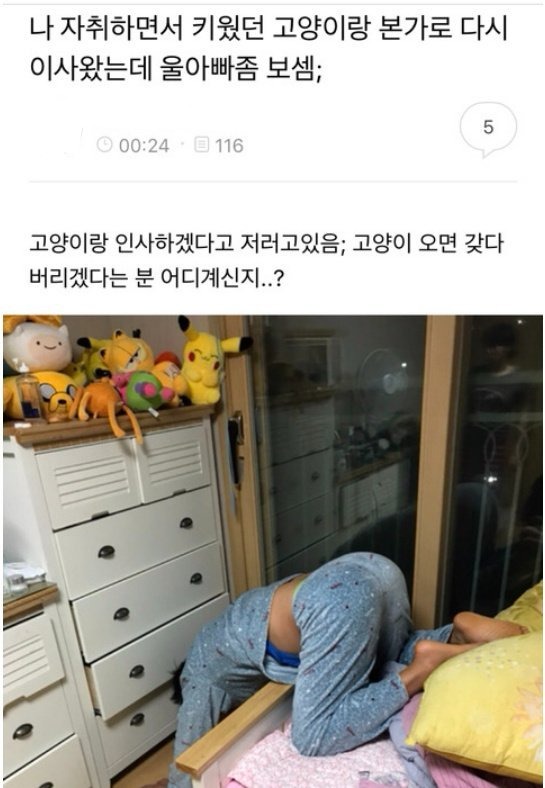 고양이 싫다던 우리 아빠.jpg