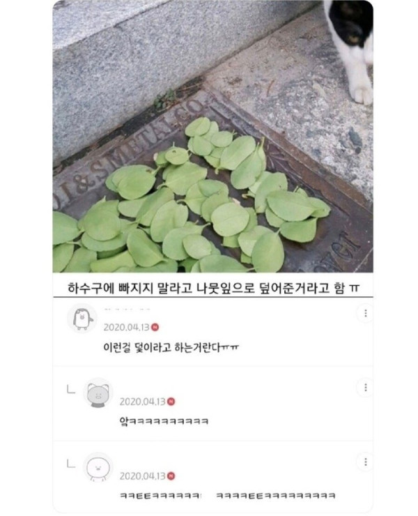 귀여운 초등학생.jpg