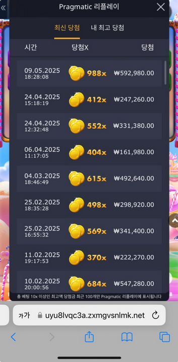 티모.png
