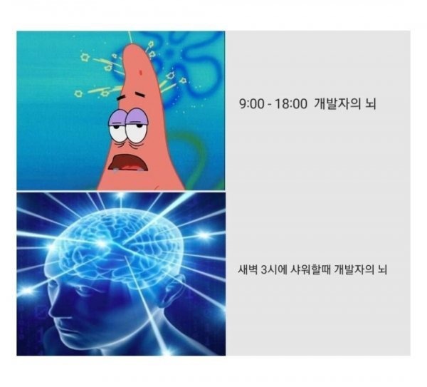 개발자 뇌 특징.jpeg