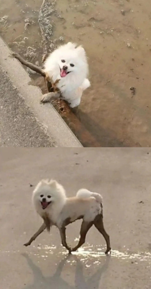 어떨결에 각선미.png