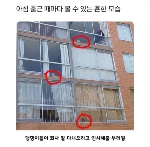 아침 출근 때마다 볼 수 있는 흔한 모습.jpg