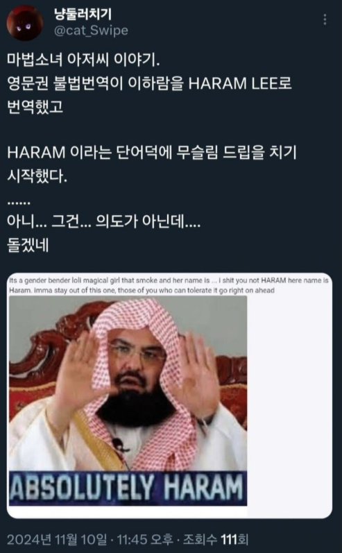 서양 불법번역으로 고통받는 작가.png