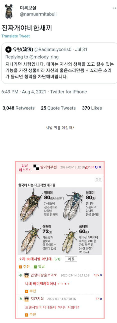 진짜 개야비한....png