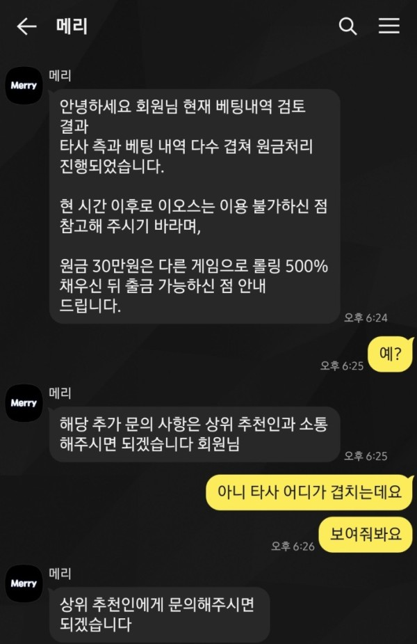 메리.png
