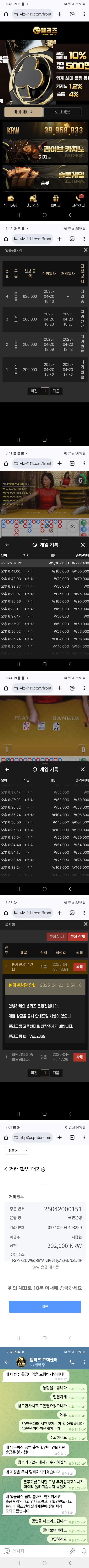벨리즈.png