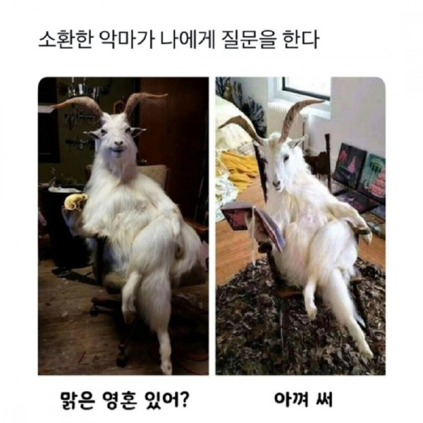 악마를 소환 하였다..jpg