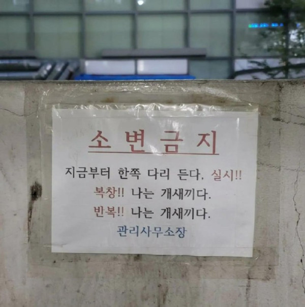 강아지 소환술.jpg