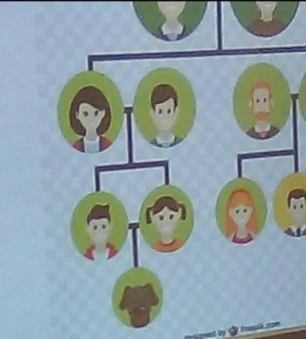 뭔가 잘못된 가계도.jpg
