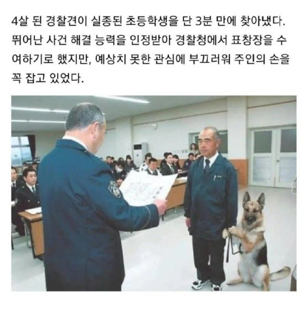 4살 경찰견이 실종 아동 찾아줬더니.jpg