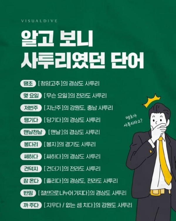 알고 보니 사투리였던 단어.jpg