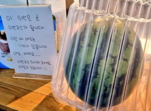 수박 씨 바르는 기계.png