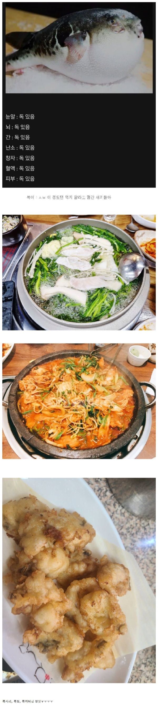 자기 먹지말라고 온몸으로 말하는 생물.png
