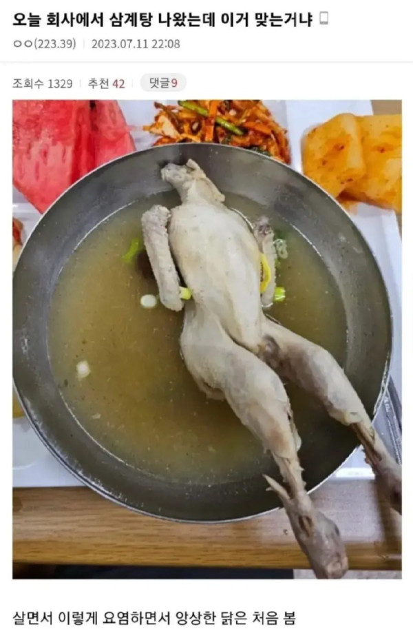 슬랜더 영계.jpg