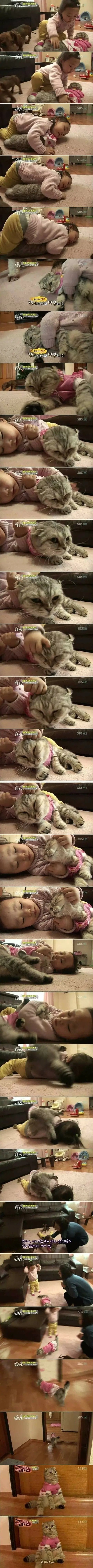 극한직업 레전드.jpg