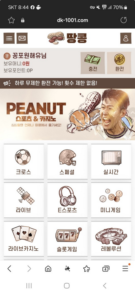 땅콩.png