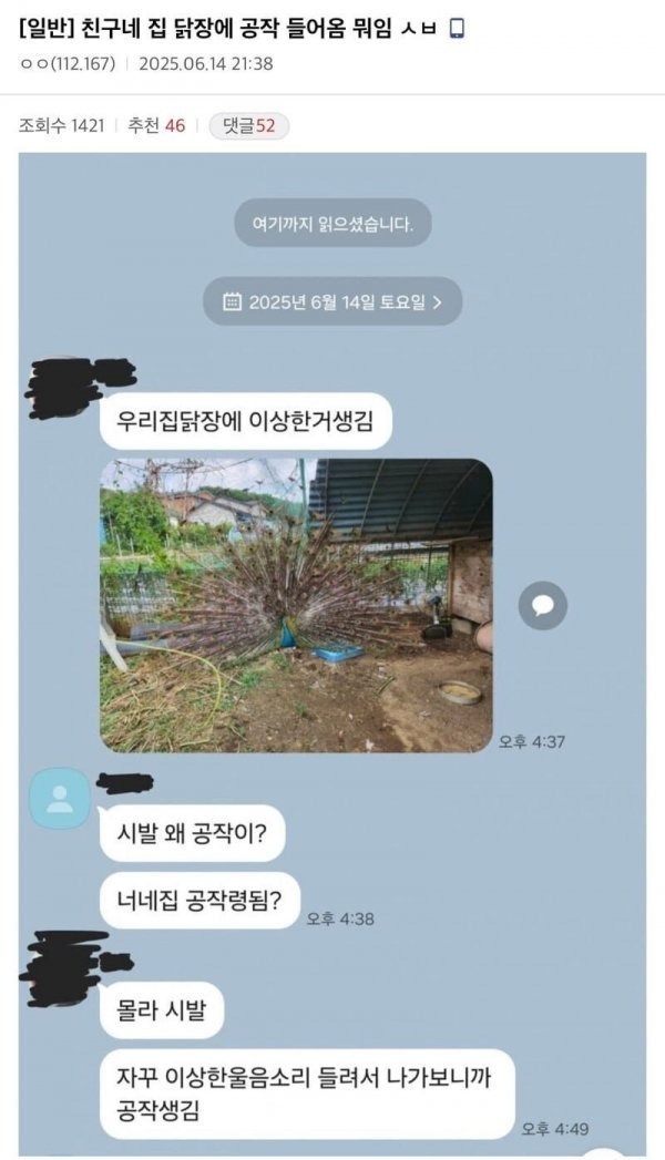 친구네 닭장에 공작 들어욌대.jpg
