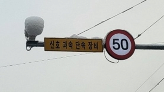 오늘만 특별히 눈 감아드리는 겁니다.png