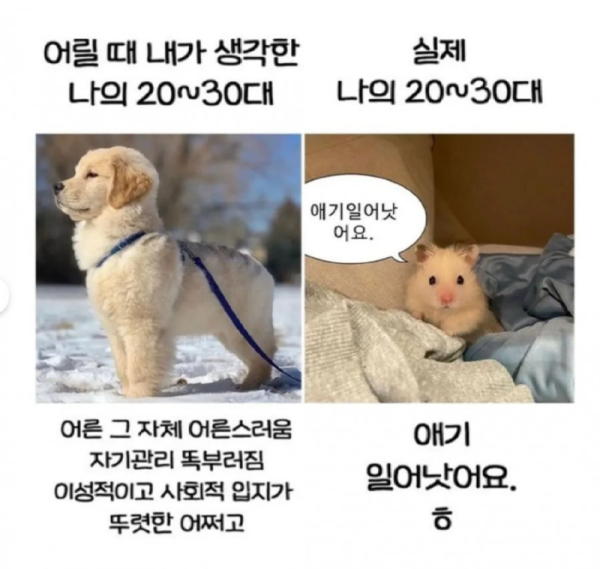 어린 때 내가 생각한 나의 20 ~ 30대.png