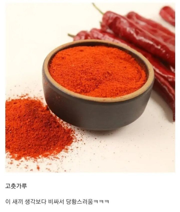 초보 자취생들 공감.jpg