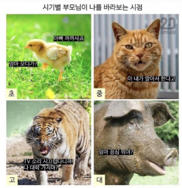 엄마가 날 보는 시점의 변화.jpeg