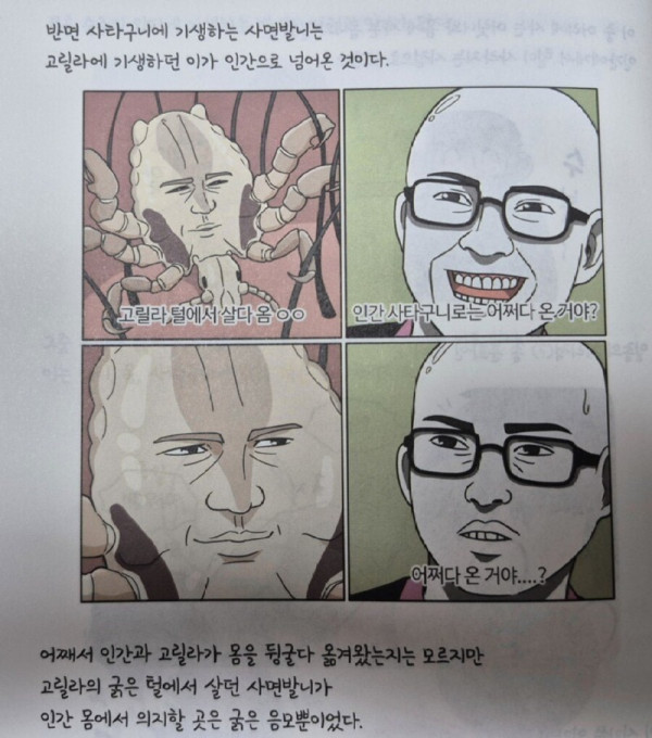 극한의 가능충이 인류에게 준 선물 중 1가지.jpg