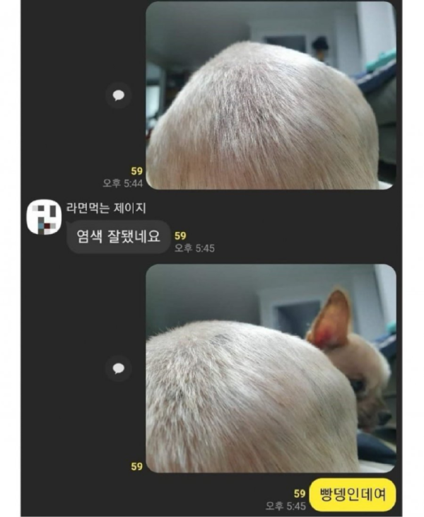 염색 잘됐네요.png