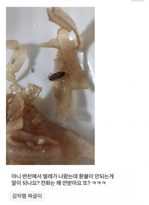 음식에서 바퀴벌레가 나왔다고하자 사장이 보인 반응.jpeg