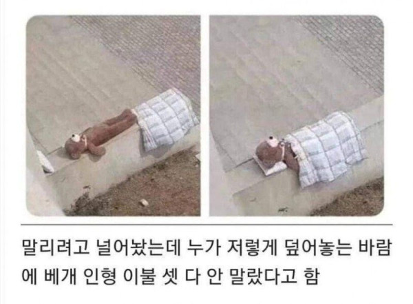친절이 부른 대참사.jpg