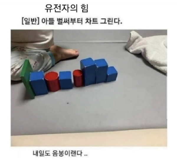 유전자의 힘.png