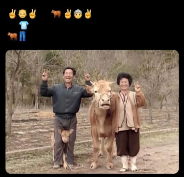 숨은 송아지를 찾으시오.jpg