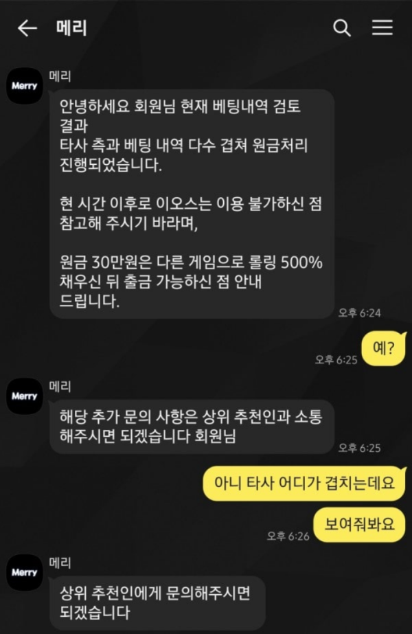 메리.png