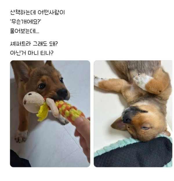 편견없는 대한민국.jpg