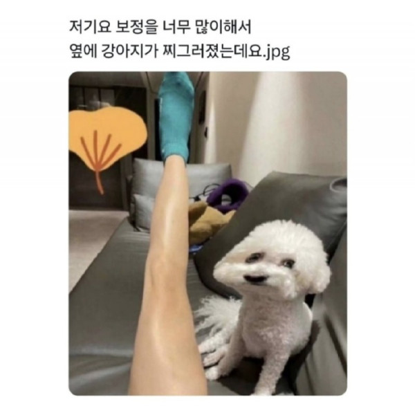 심한 보정.jpeg