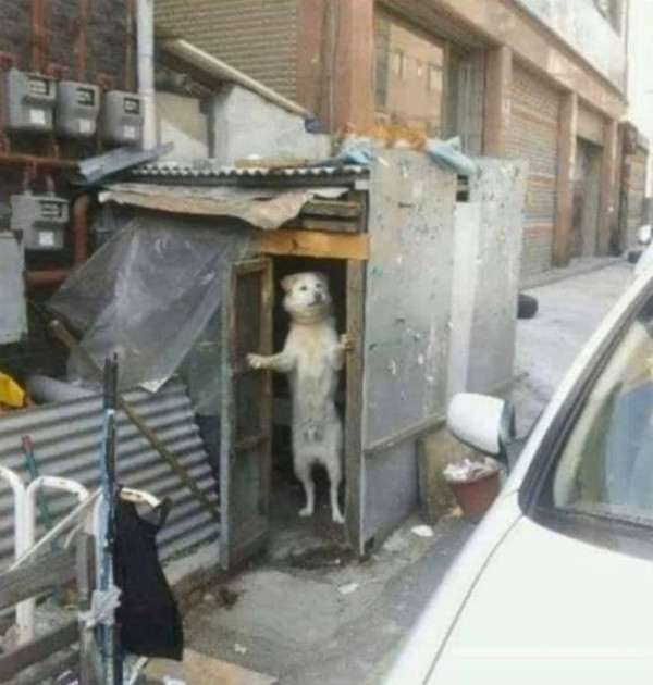 아저씨! 여기 주차하면 안돼요.jpg