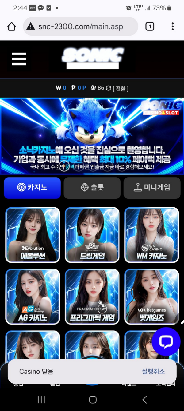 소닉.png